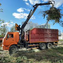 Вывоз мусора. Спил деревьев. Расчистка участка