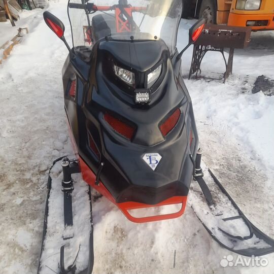 Бурлак- беркут