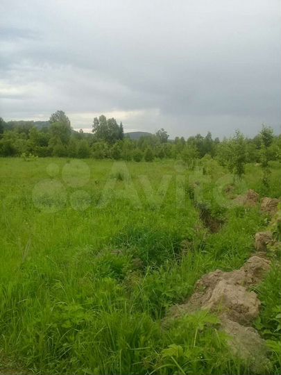 Участок 50 сот. (СНТ, ДНП)