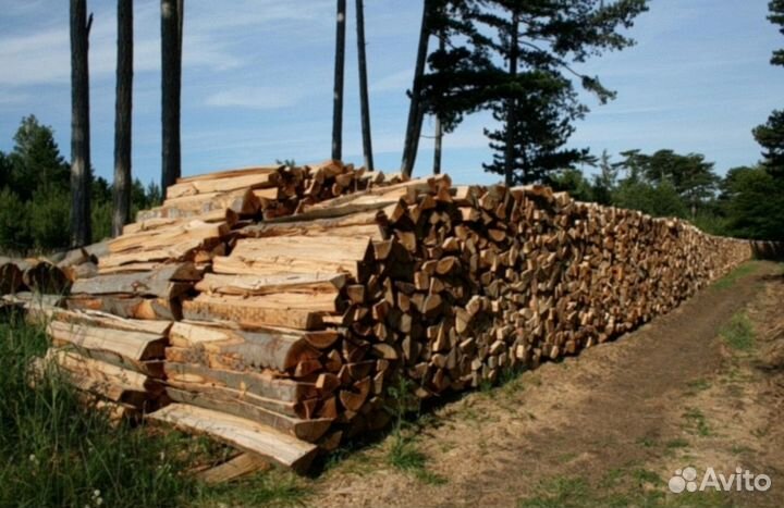 Дрова дубовые колотые