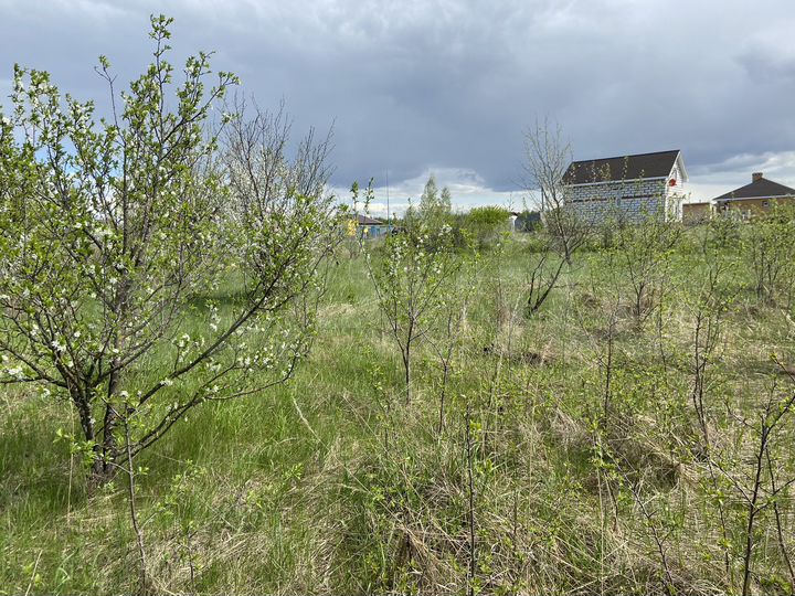 Участок 12 сот. (СНТ, ДНП)