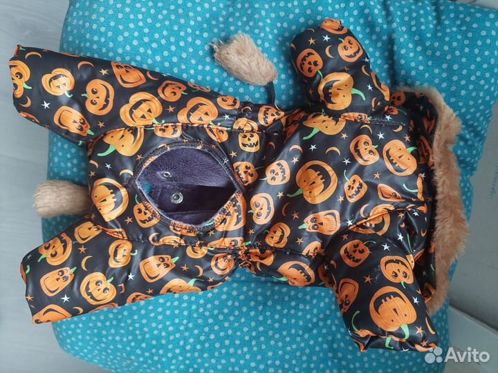 Продам комбенизон для собаки мелкой породы