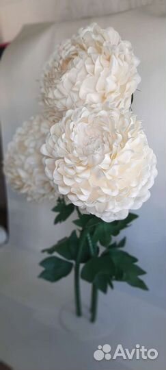 Ростовая стойка