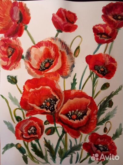 Картина Маки акварель