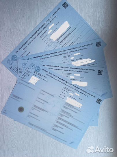 Клеймение Обмен документов Фото помета