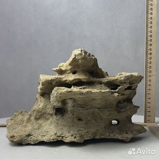 Декор для аквариума 250х120х160