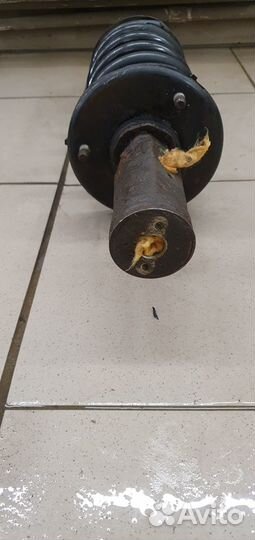 Амортизатор передний левый infiniti QX56 Z62 QX80