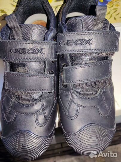 Спортивные туфли Geox