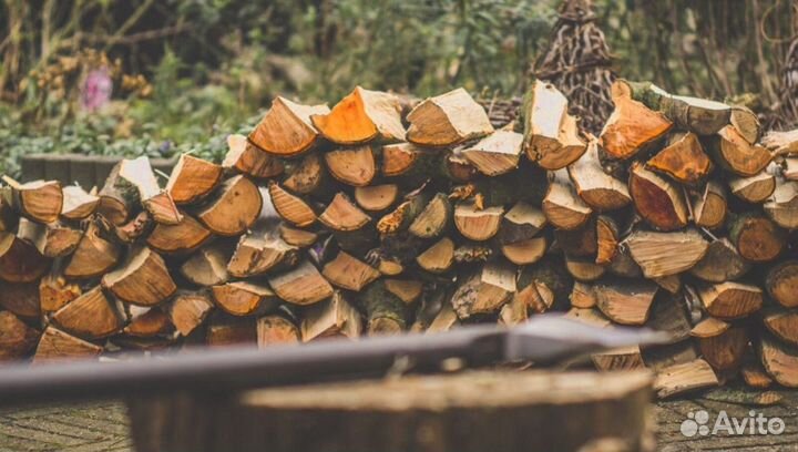 Дрова со Всеволожска