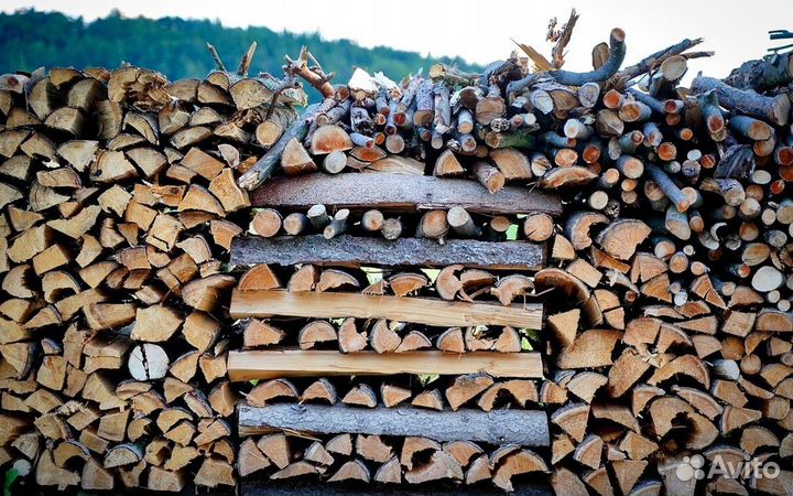 Дрова с Приморска