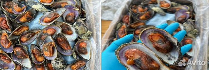 Оптовые поставки морепродуктов