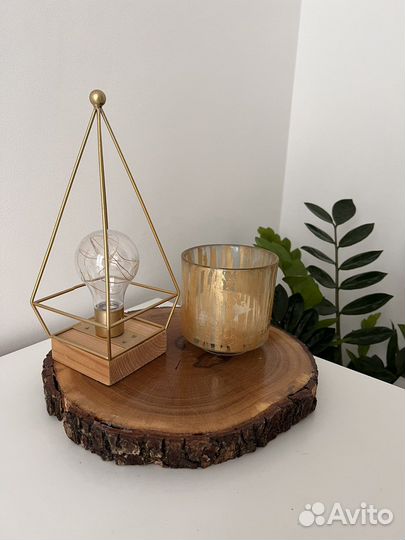 Торцевой спил дерева