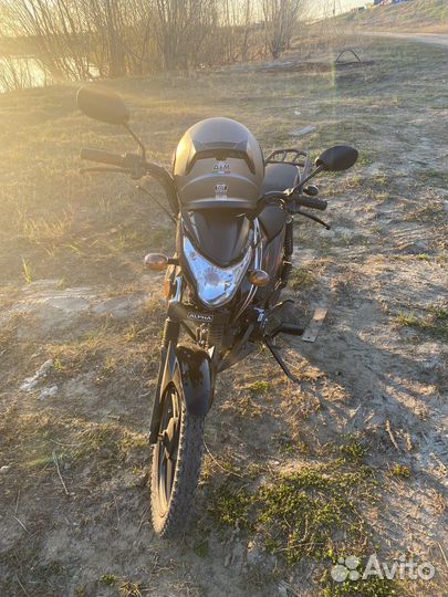 Продам alpha pro-storp 125