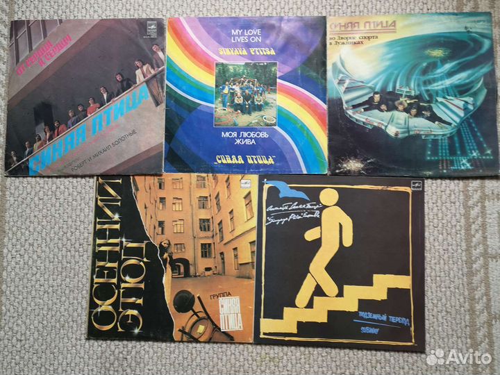 Виа Синяя птица 13 пластинок