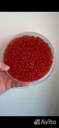 Икра Кижуча Камчатка