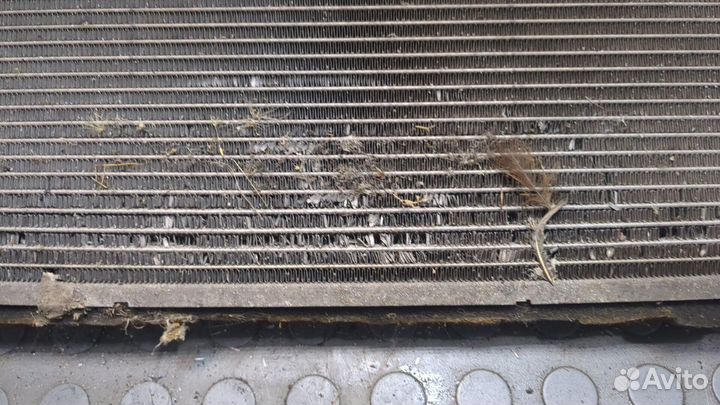 Радиатор охлаждения двигателя Hyundai i20 2014, 20