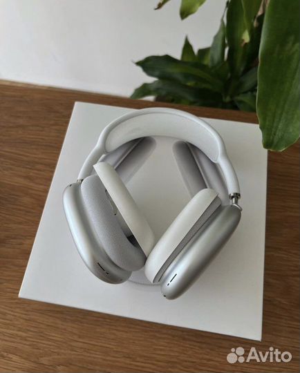 Apple airpods pro max