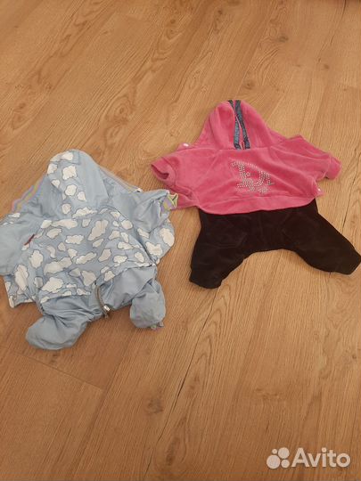 Одежда для собак мелких пород