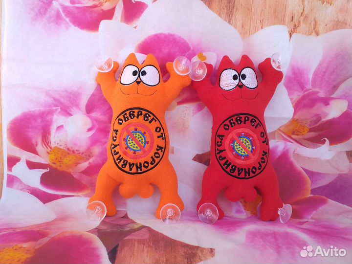 Кот пограничник