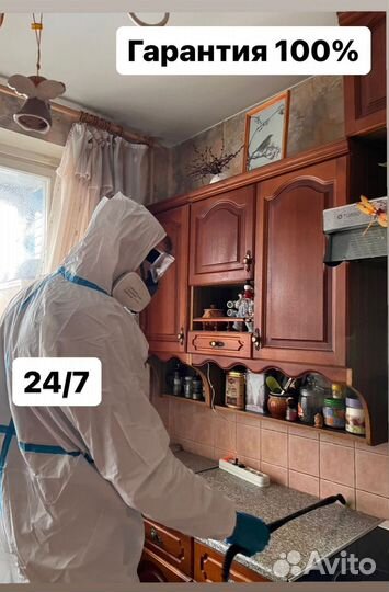 Уничтожение насекомых, специалист, потравить,клоп