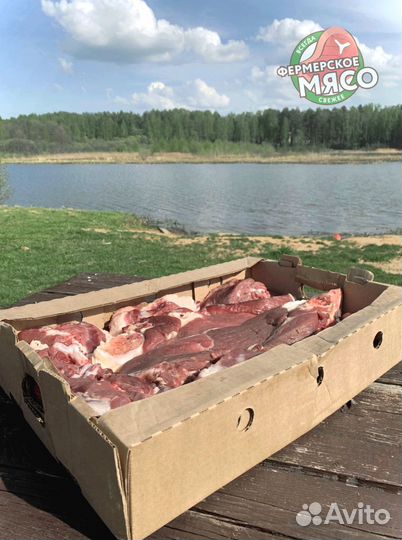 Мясо говядина