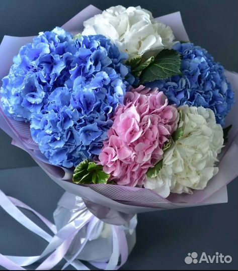 Букет цветы гортензии с доставкой 11, 21, 31 41 шт