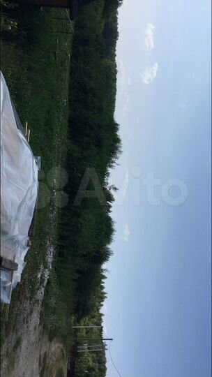 Участок 6,5 сот. (СНТ, ДНП)