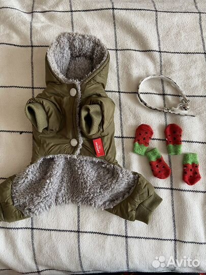 Одежда для собак