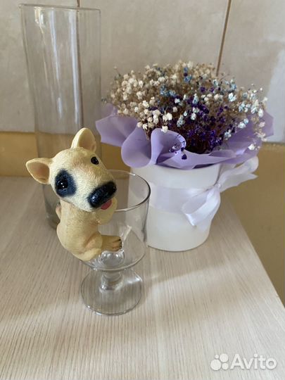 Мини бультерьер в бокале