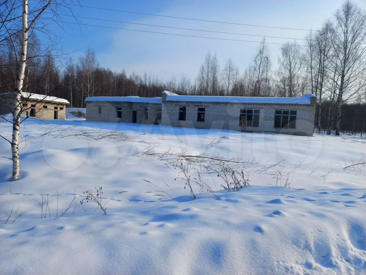 Участок 38 сот. (СНТ, ДНП)