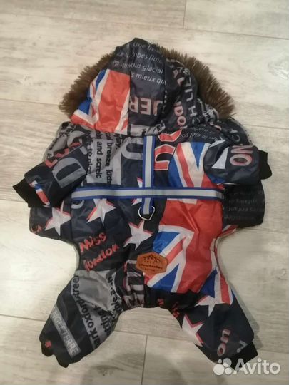 Комбинезон для собаки