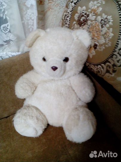 Медведи,собака