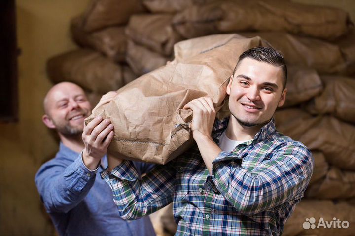 Грузчик в Ефремов