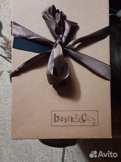 Котик Басик