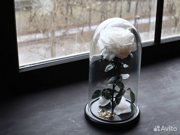 Роза в колбе Deluxe Белая