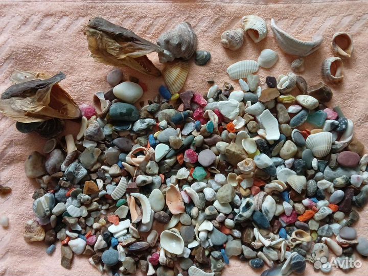 Камешки, ракушки