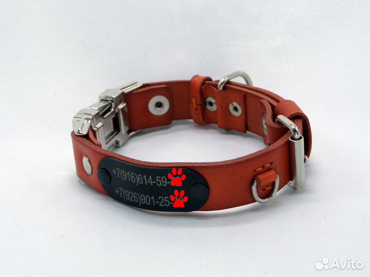 Ошейник с пряжкой фастекс