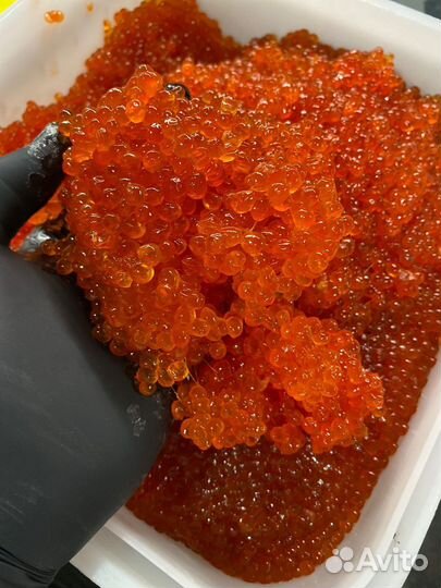 Красная икра кета