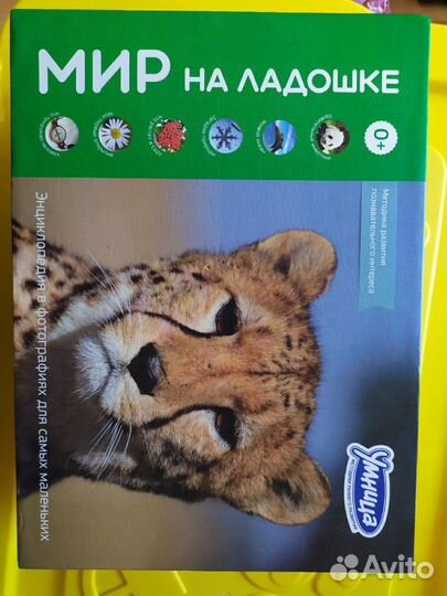 Умница карточки мир на ладошке