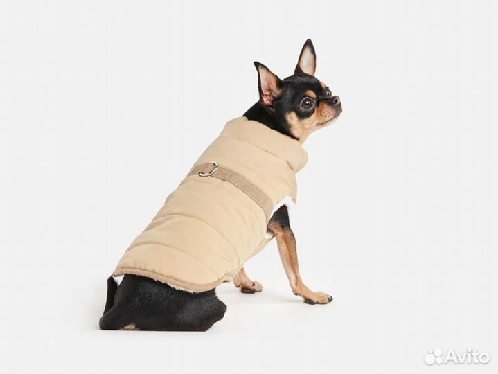 Жилет для животных
