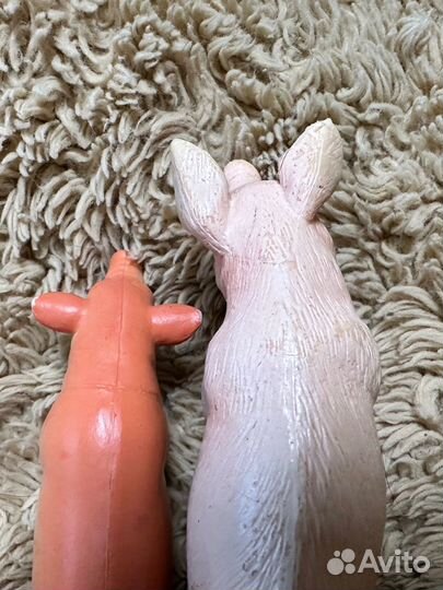 Свинья и хряк (свин)