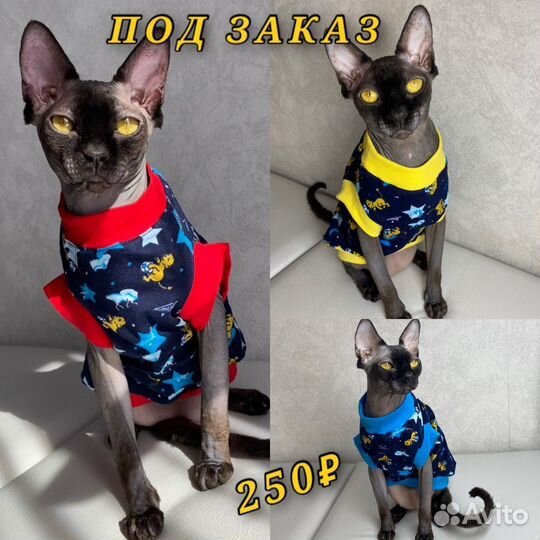 Одежда для сфинкса