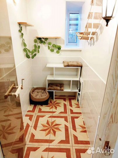 Зоогостиница гостиница для кошек и собак