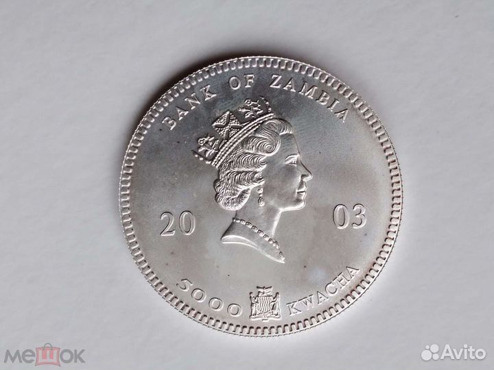 5000 квача Замбия 2003 года Слоны