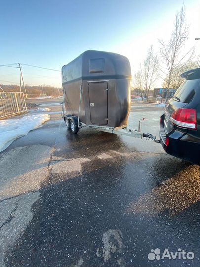Коневоз, перевозка лошадей, крс, мрс