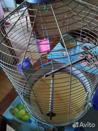 Большая клетка для птиц