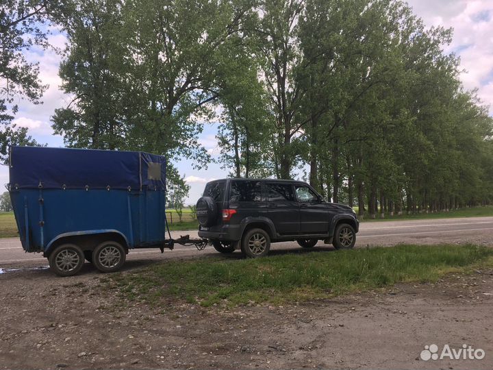 Перевозка лошадей