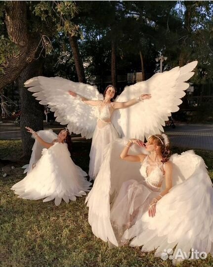 Шоу-балет на ваше торжество