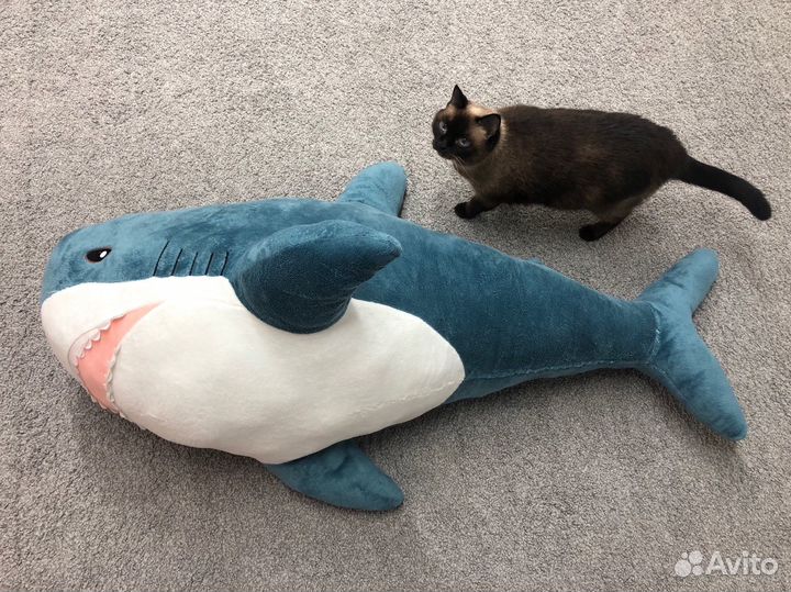 Акула блохэй из Икеа