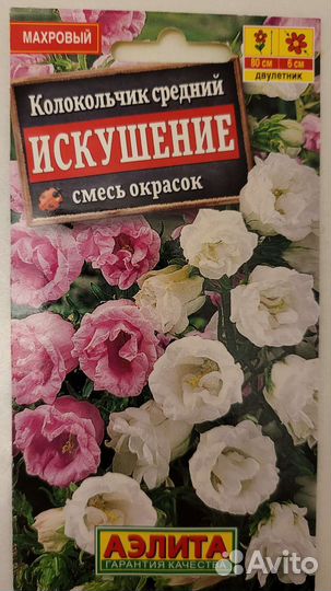 Семена Нивяника, колокольчиков